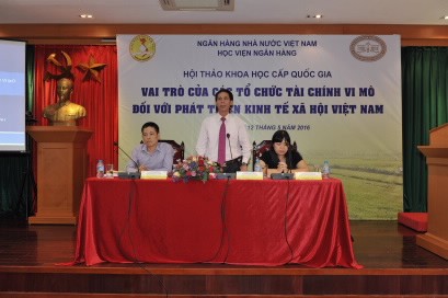 Vai trò của các tổ chức tài chính vi mô đối với kinh tế Việt Nam - ảnh 1